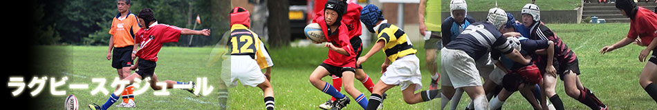 ラグビースケジュール